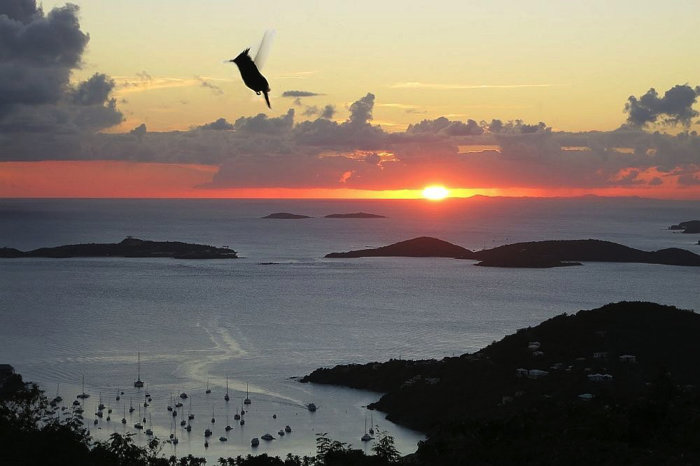 Sunset in January over Vieques, 45 miles away